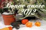 Meilleurs voeux pour 2012 !