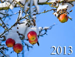 Meilleurs voeux pour 2013 !