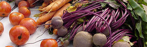 les légumes du potager