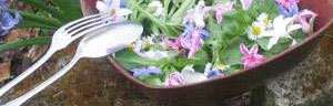 la cuisine des fleurs