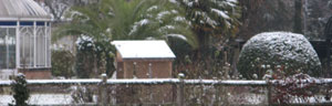 le jardin en hiver