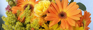 les bouquets