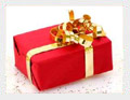 Livre jardin - id�es cadeau 2010